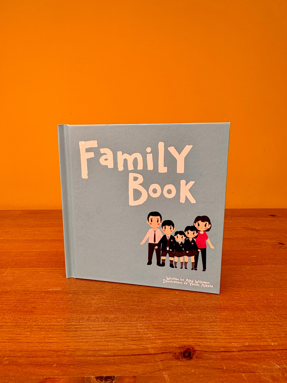 🔵ur Little World!- Series 1-Box 1- Our Families