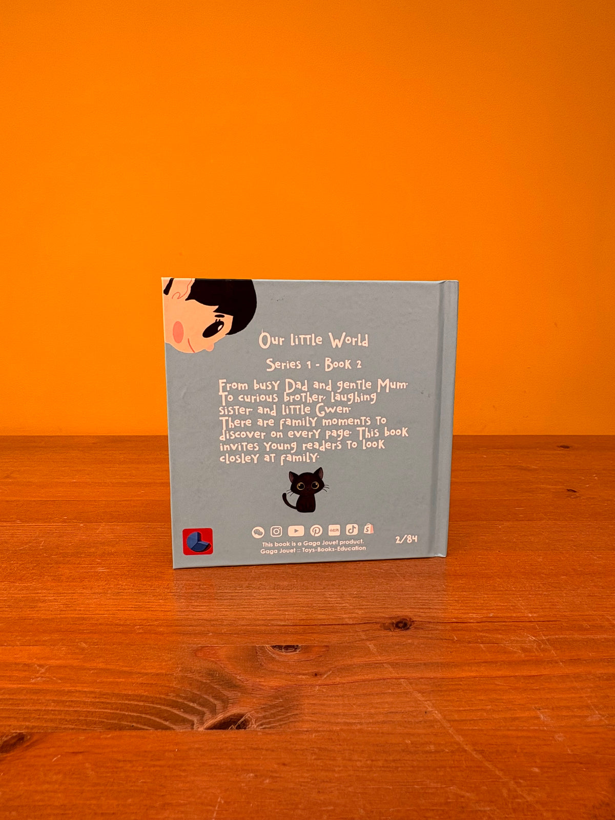 🔵ur Little World!- Series 1-Box 1- Our Families