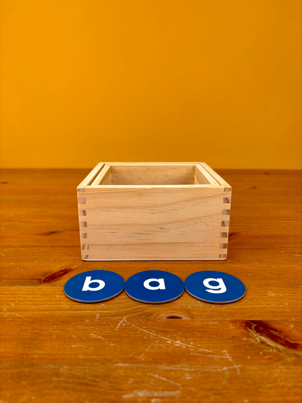 Our Little World-Series 1-Box 1-7- Our Beginnings