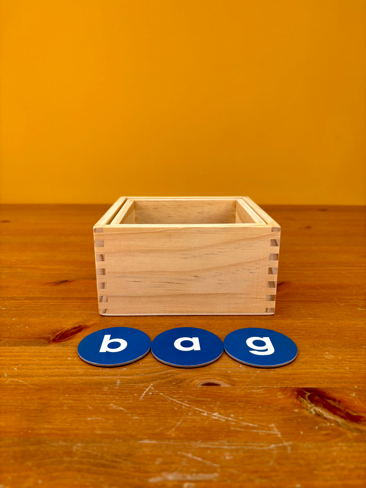 Our Little World-Series 1-Box 1-7- Our Beginnings